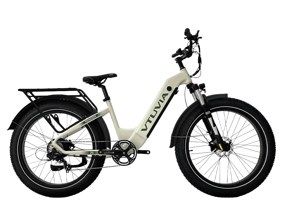 High-performance electric mountain bike for eco-friendly commuting and outdoor adventures.